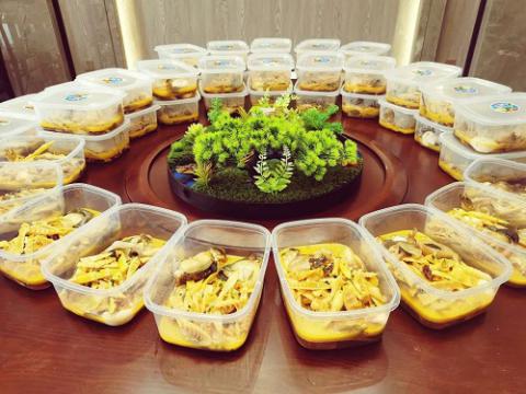 东风催新绿 不负好时光