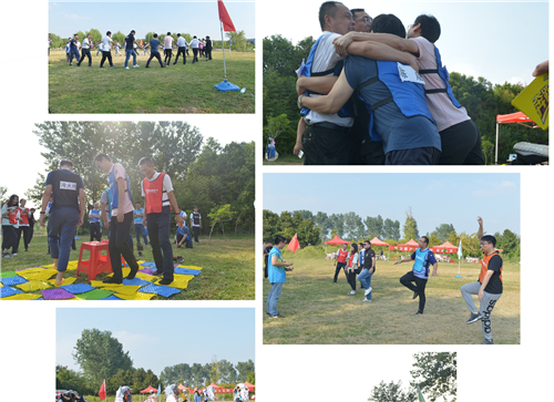 d704cbb592fc092d06264805e46ed446